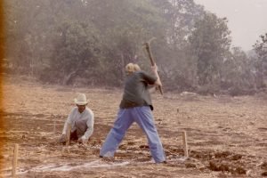 Photo of Laurie Shaw wields a pickax. Our host families are not used to seeing women on the worksite. (1998)